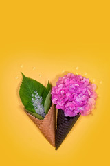 ice cream cones with beautiful hydrangea flowers. Trendy fashion Style. Spring Summer Floral concept. Creative Minimal. Pink Blossom, Bright Color. Art