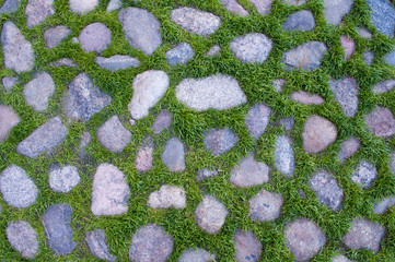 Stones in the grass texture