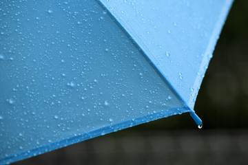 水色の傘についた雨粒