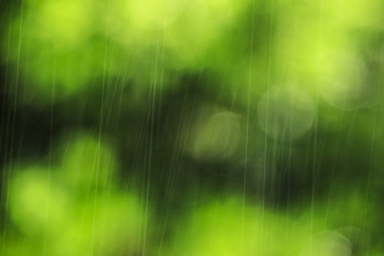 自然の緑ぼかし背景と大雨