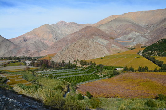 Vall&eacute;e de l'Elqui, Chili
