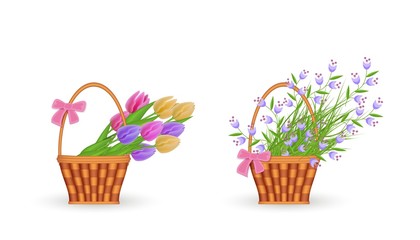 Spring floral bouquets in wicker basket set with gathered fresh tulips and blue wild flowers with green leaves isolated on white background. Beautiful blooms in straw basket in vector illustration.