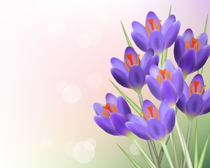 Purple tulip flowers with green leaves on blurred abstract background template. Spring summer sale template for retail poster and advertising design wtih text space. Vector illustration