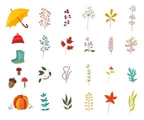 Autumn plants and clothes accessories set with various foliage and wear decorative elements isolated on white background - beautiful fall seasonal objects in flat vector illustration.