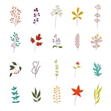 Autumn plants and leaves set with various foliage and branches decorative elements isolated on white background - beautiful fall seasonal objects for your design in flat vector illustration.
