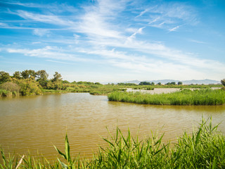 Natural spaces of the LLobregat delta