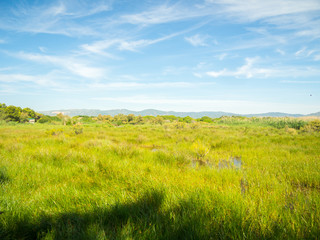 Natural spaces of the LLobregat delta