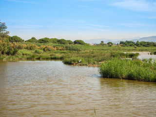 Natural spaces of the LLobregat delta