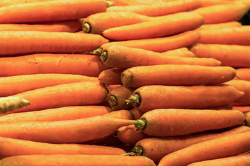 background base useful ecological products bright appetizing carrot large orange washed fruit natural texture