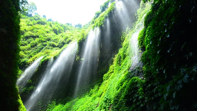 Madakaripura Waterfall is the tallest waterfall in Java and the second tallest waterfall in Indonesia.