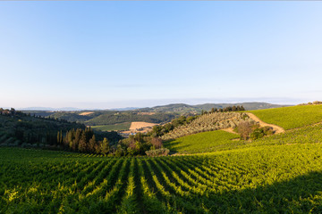 Fields in Chianti, a region in tuscany known for is scenic vineyards.