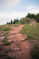 Landscape view of Shrine Mountains Trail in Colorado. 