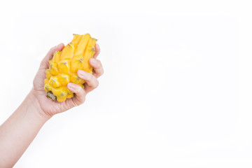 The yellow pitaya is grown in Colombia and is found in the market from January to March and from June to September - Selenicereus megalanthus