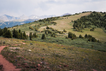 Fototapeta na wymiar Landscape view of Shrine Mountains Trail in Colorado. 