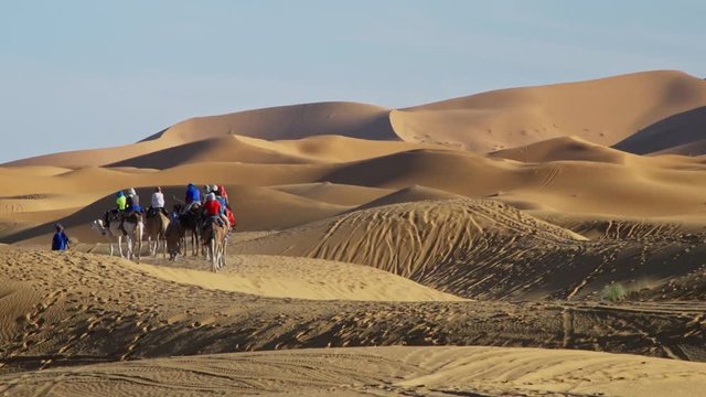 Camel caravan with tourist in the Sahara desert, Morocco.