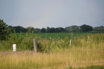 Rain