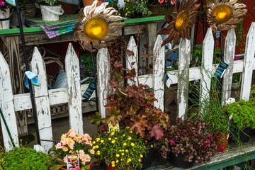 Flowers on a Picket Fence