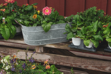 Garden Store Flower Decorations