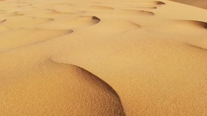Fototapeta na wymiar Saharan Sand