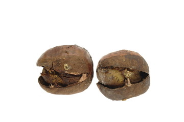 笑い栗　銀よせ　白抜き