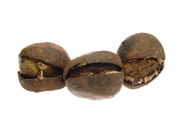 笑い栗　銀よせ　白抜き