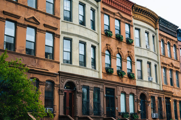 Colorful row houses in Harlem, Manhattan, New York City.