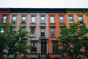 Colorful row houses in Harlem, Manhattan, New York City.