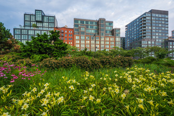 Flowers and buildings along the Hudson River Greenway in Tribeca, Manhattan, New York City.