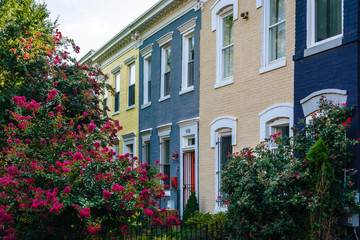 Fototapeta na wymiar Row houses in Shaw, Washington, DC
