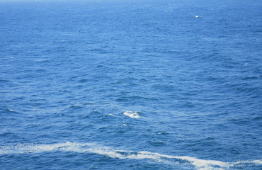 Fototapeta premium 海 泡 素材