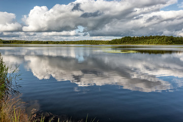 Quiet large lake with clouds reflected in the water, perimeter is guarded by a forest