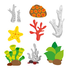 coral vector collection design