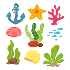 coral vector collection design