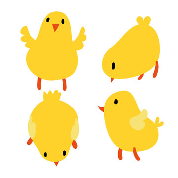 chick character vector design