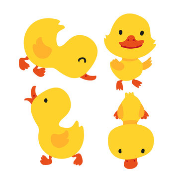 duck character vector design