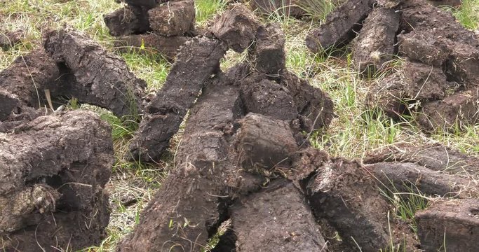 Fitting and Cutting Turf Peat with a spade in a Moss Bog in Ireland.4K