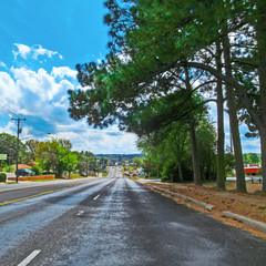 Fototapeta na wymiar Countryside road and landscape in Texas, USA. Color scenery view of direct route under green tree pine on a summer sunny day.