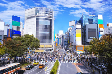 渋谷駅西口のスクランブル交差点の風景
 - obrazy, fototapety, plakaty