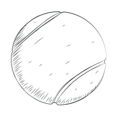 Sport ball sketch