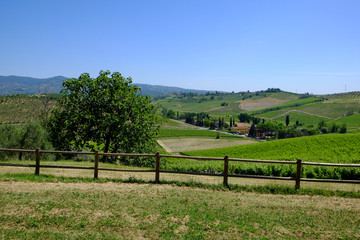 Fototapeta na wymiar The peaceful countryside of Tuscany