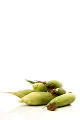 sweet corn on white background