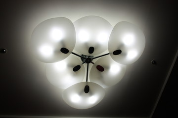 light