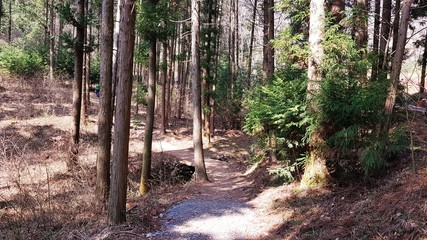 A beautiful mountain road