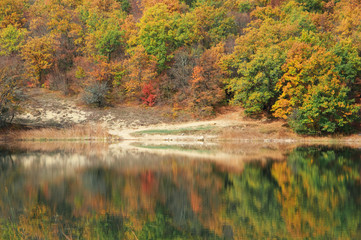 Autumnal landscape with lake