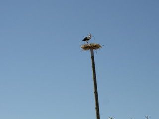 Obraz premium Algarve, Portugal