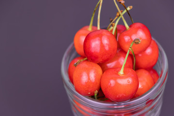 さくらんぼ　佐藤錦