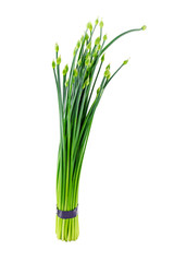 Chives flower or Chinese Chive isolated on white background