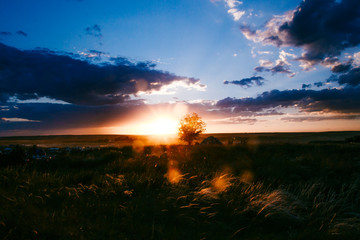 Naklejka premium large blue clouds at sunset in summer in nature