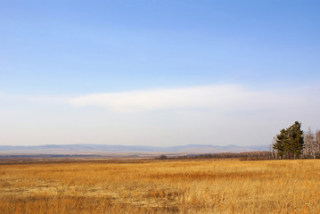 Autumn landscape.