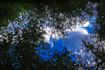 Fototapeta premium Landschaft Spiegelung Wasseroberfläche